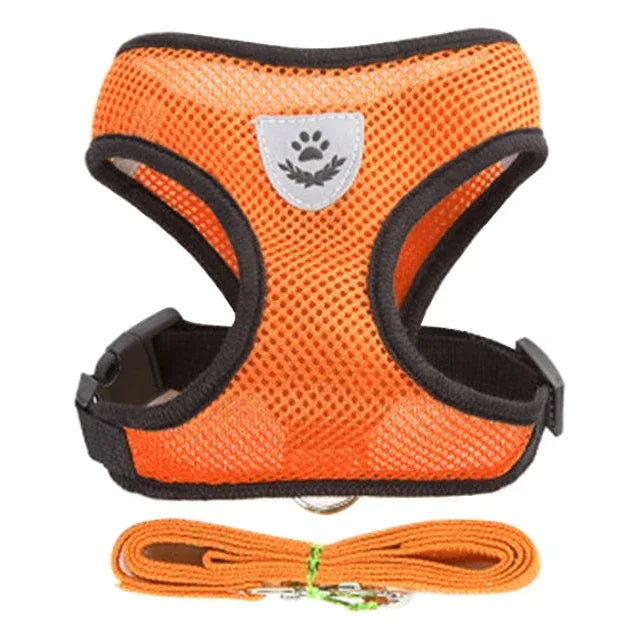 Adjustable Mesh Pet Harness with Leash, Polyester Vest Type Walking Strap for Small Medium Cats Dogs