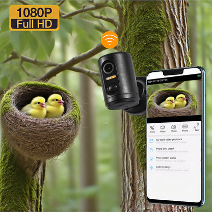 1080P Mini Bird House Camera Wifi With Battery Long Standby Indoor PIR Detection Wireless Bird Camera Feeder Video Animal Camera