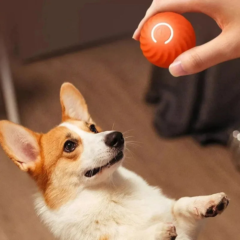 USB Rechargeable Automatic Rolling Ball Dog Toy