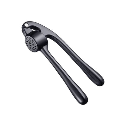 LMETJMA Premium Garlic Press Stainless Steel Garlic Mincer Garlic Crusher Easy to Squeeze and Clean Kitchen Tools JT202