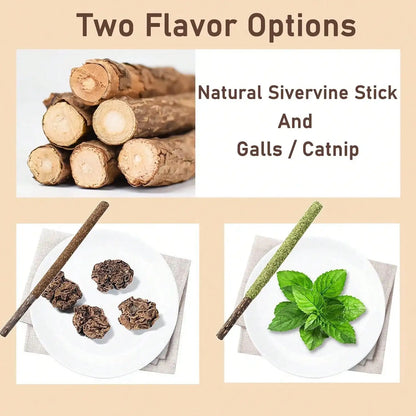 Maiguangta Natural Silvervine Catnip Chew Sticks (12 PC) - Edible Dental Chews For Cats &Amp; Kittens, Teething Relief Teeth Cleaning Toys