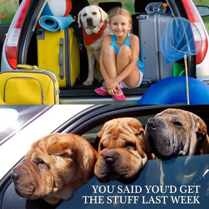 Adjustable Pet Dog Cat Car Seat Belt for Dogs Harness Leash Travel Clip French Bulldog Dog Collar Connector Accessories Supplies