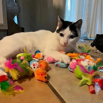Cat Toys Mixed Pack – Plastic & Plush Variety Set